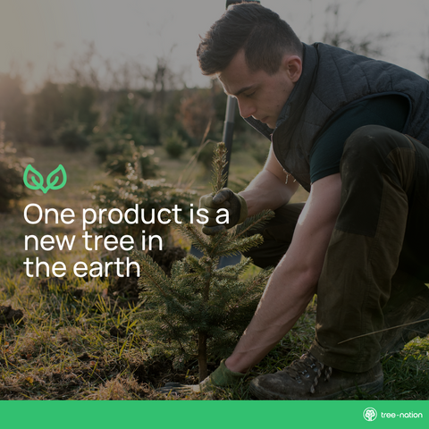 Rebuilding Forests with Every Salt + Soil Order